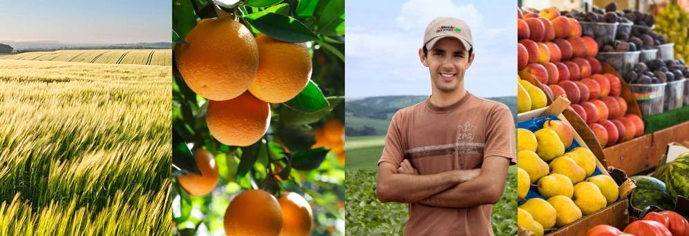 1 malaga|2 malaga|3 málaga